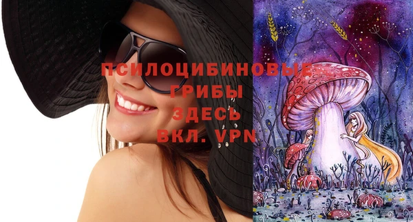 МДПВ Новодвинск