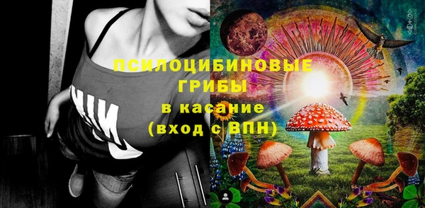 ПСИЛОЦИБИНОВЫЕ ГРИБЫ Абинск