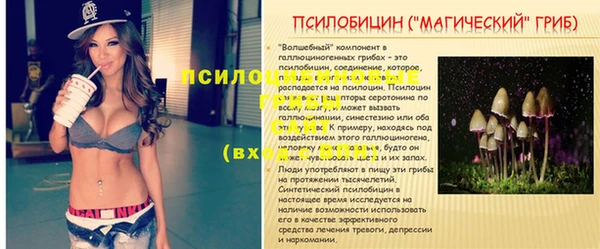 дурь Абаза