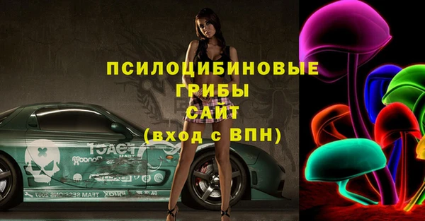 ПСИЛОЦИБИНОВЫЕ ГРИБЫ Абинск
